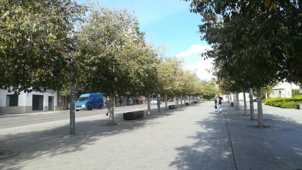 Temporary Alicante Tm Bagian luar foto